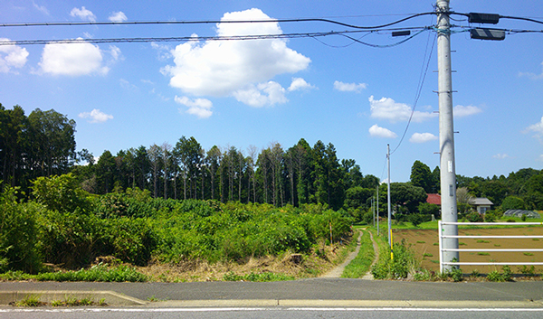まだ雑草の生い茂る建設予定地