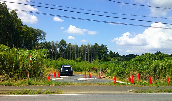 一部草刈りを終え測量を開始